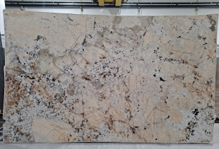 TEXTA PATAGONIA - 000024