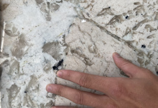 QUARTZITE ALPINUS PATAGONIA - 002865