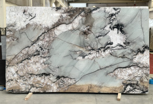 QUARTZITE BOTANIC CRYSTAL - 231117