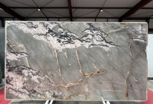 QUARTZITE BOTANIC CRYSTAL - 005706