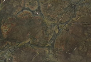 TEXTA VITORIA REGIA TEXTA VITORIA REGIA