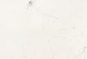 QUARTZ COMPAC COBWEB