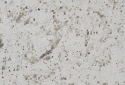 QUARTZ COMPAC ICE CONCRETE